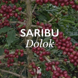 Sumatra Saribu Dolok - Full washed